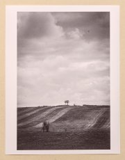 Fotografie - Posedenie pri kláštore