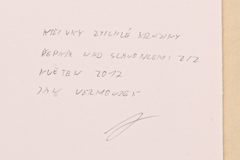 Fotografie - Řepka nad Slavonicema