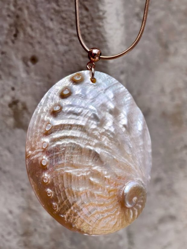 Náhrdelník minerální  - Velká Mušle Abalone  S0729