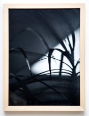 Fotografie - Zátišie 4