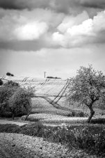 Fotografie - Turňa nad Slavonicami