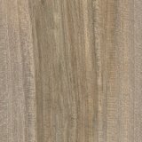 Ořech - Obec Předklášteří, Morava, ČR