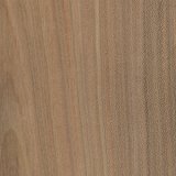 Meruňka - Kraví hora, Brno, Morava, ČR