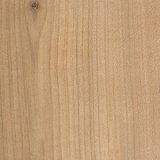 Třešeň - Bývalá obec Košťálkov, Čechy, ČR