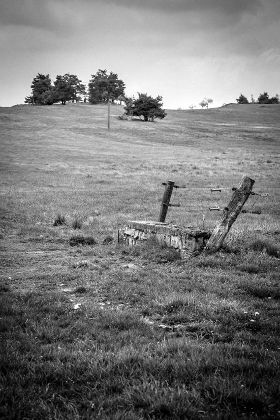 Fotografie - Pastviny pri kláštore