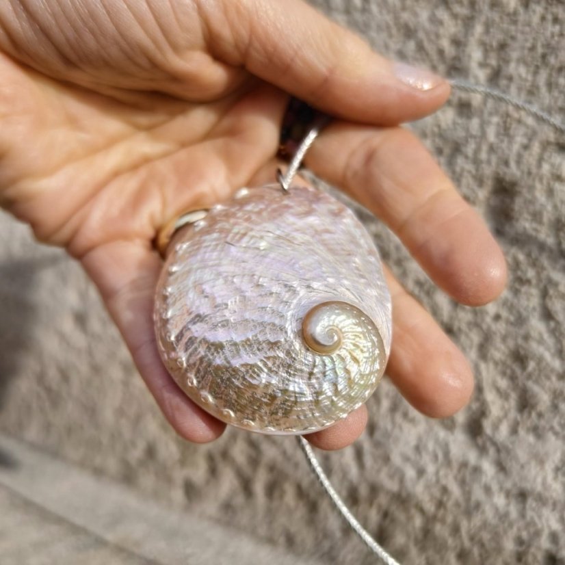 Náhrdelník - Velká Mušle Abalone S0729