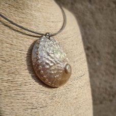 Náhrdelník - Velká Mušle Abalone S0729