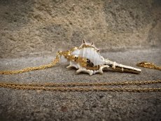 Náhrdelník -  Mušle zlatá S0410