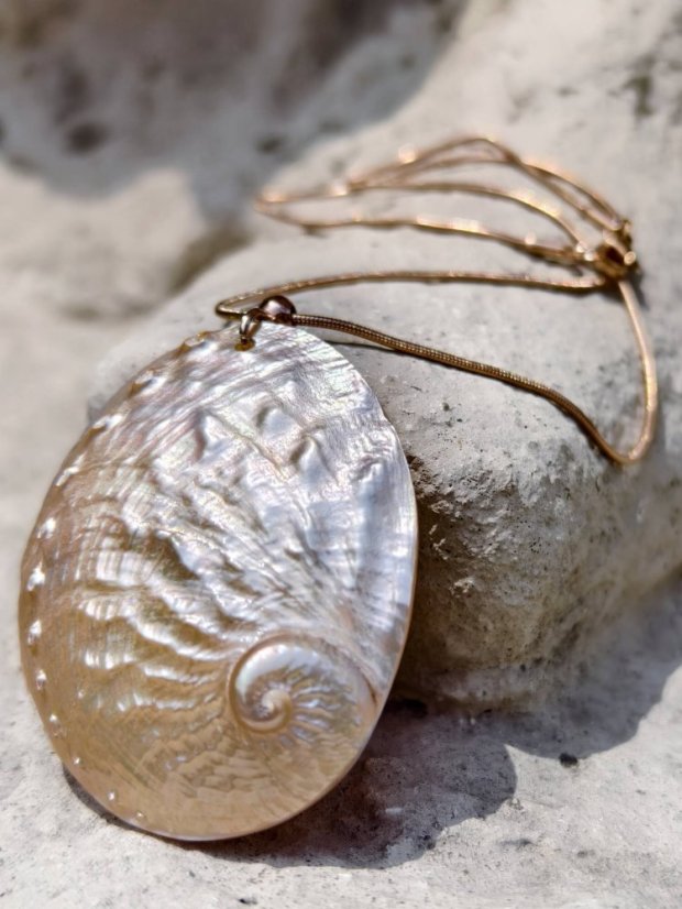 Náhrdelník minerální  - Velká Mušle Abalone  S0729