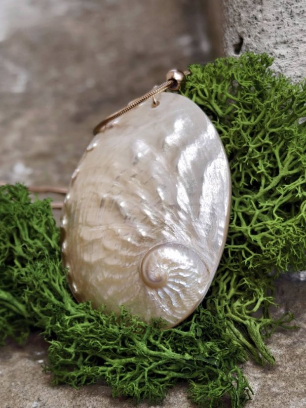 Náhrdelník minerální  - Velká Mušle Abalone  S0729