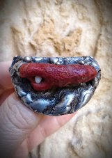 Autorská cínovaná brož  Fantasy - Korál S0427