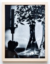 Fotografie - Zátišie 1