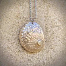 Náhrdelník - Velká Mušle Abalone S0729