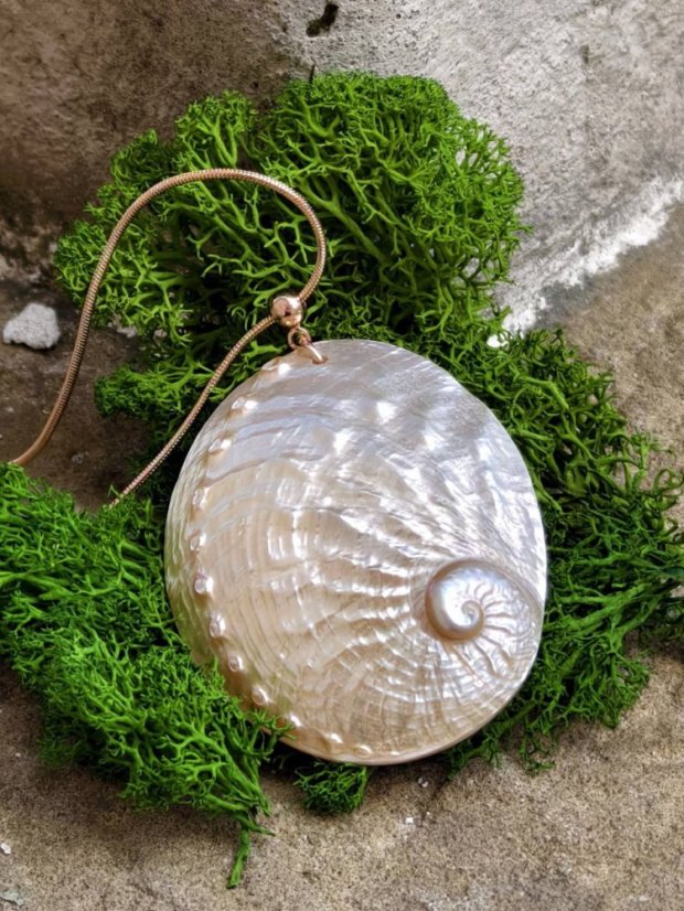 Náhrdelník minerální  - Velká Mušle Abalone  S0729