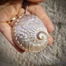 Náhrdelník - Velká Mušle Abalone S0729