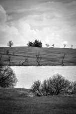 Fotografie - Dva horizonty nad rybníkem
