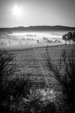 Fotografie - Údolí v mlze