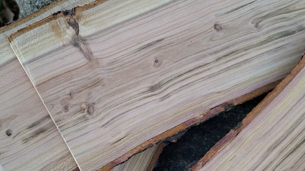 Vyhoblovaná prkénka z blumy