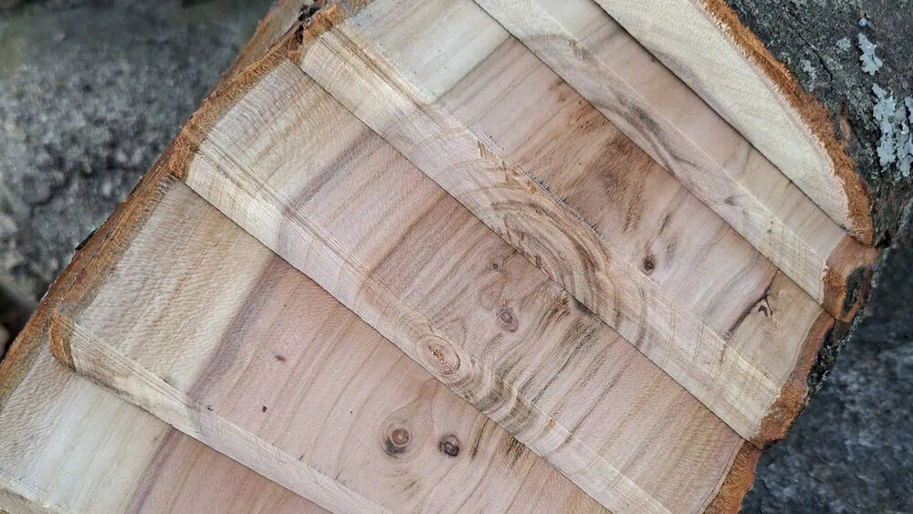 Rozřezaný a vyhoblovaný špalek z blumy