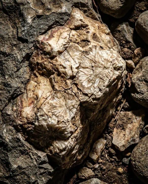 Naleziště chryzantémového kamene