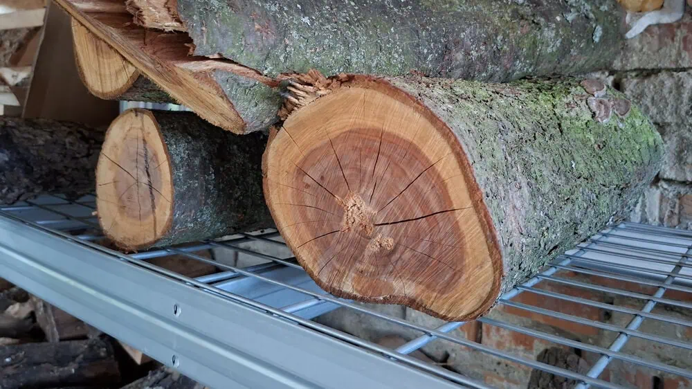 Sušení dřeva z blumy