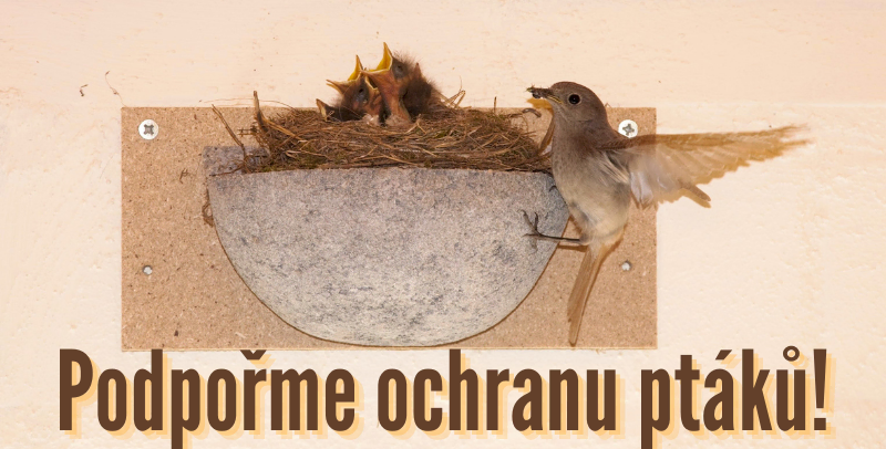 Podpořme ochranu ptáků
